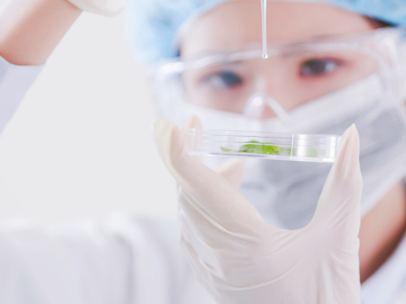 醫療器械標識，全球協調的努力