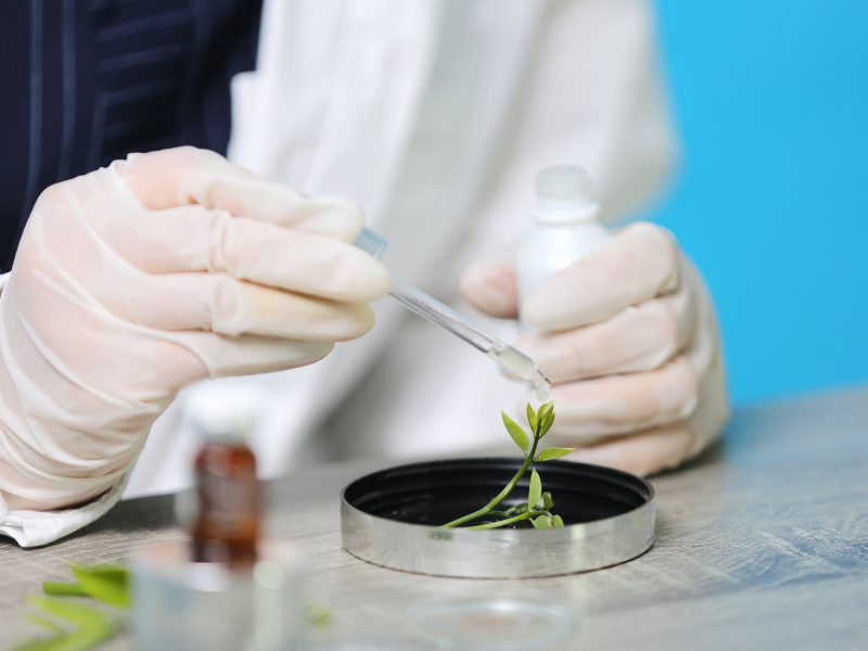 2017年，是醫療政策頻發的一年